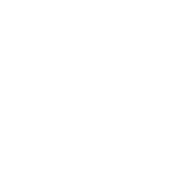 Signal Icon